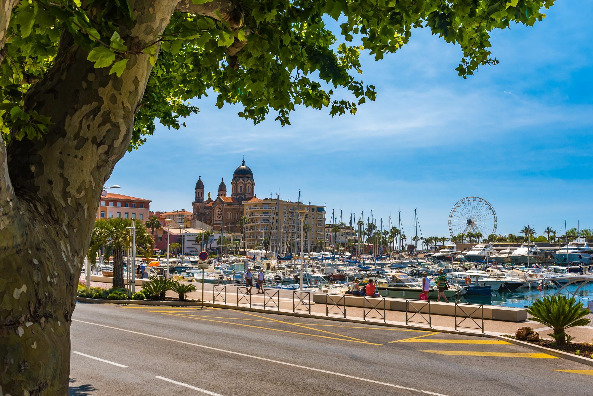 فندق بروفينسال Saint-Raphaël المظهر الخارجي الصورة
